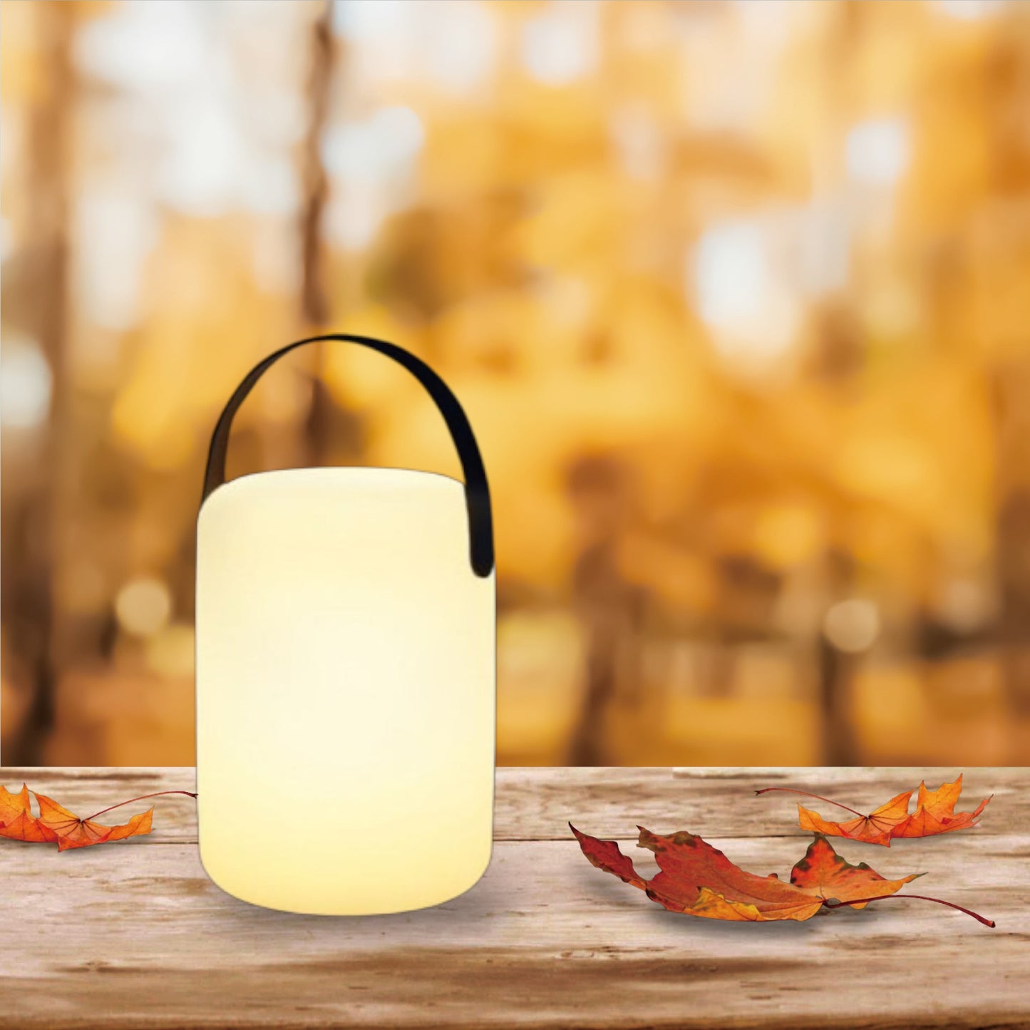 Portable Outdoor Smart RGB Lamp – Rechargeable Cordless Table Light, Water-Resistant Ambient Lamp for Home, Patio & Camping